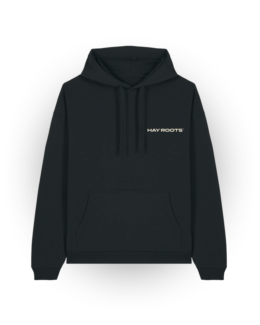 City of Love? Yerevan Hoodie