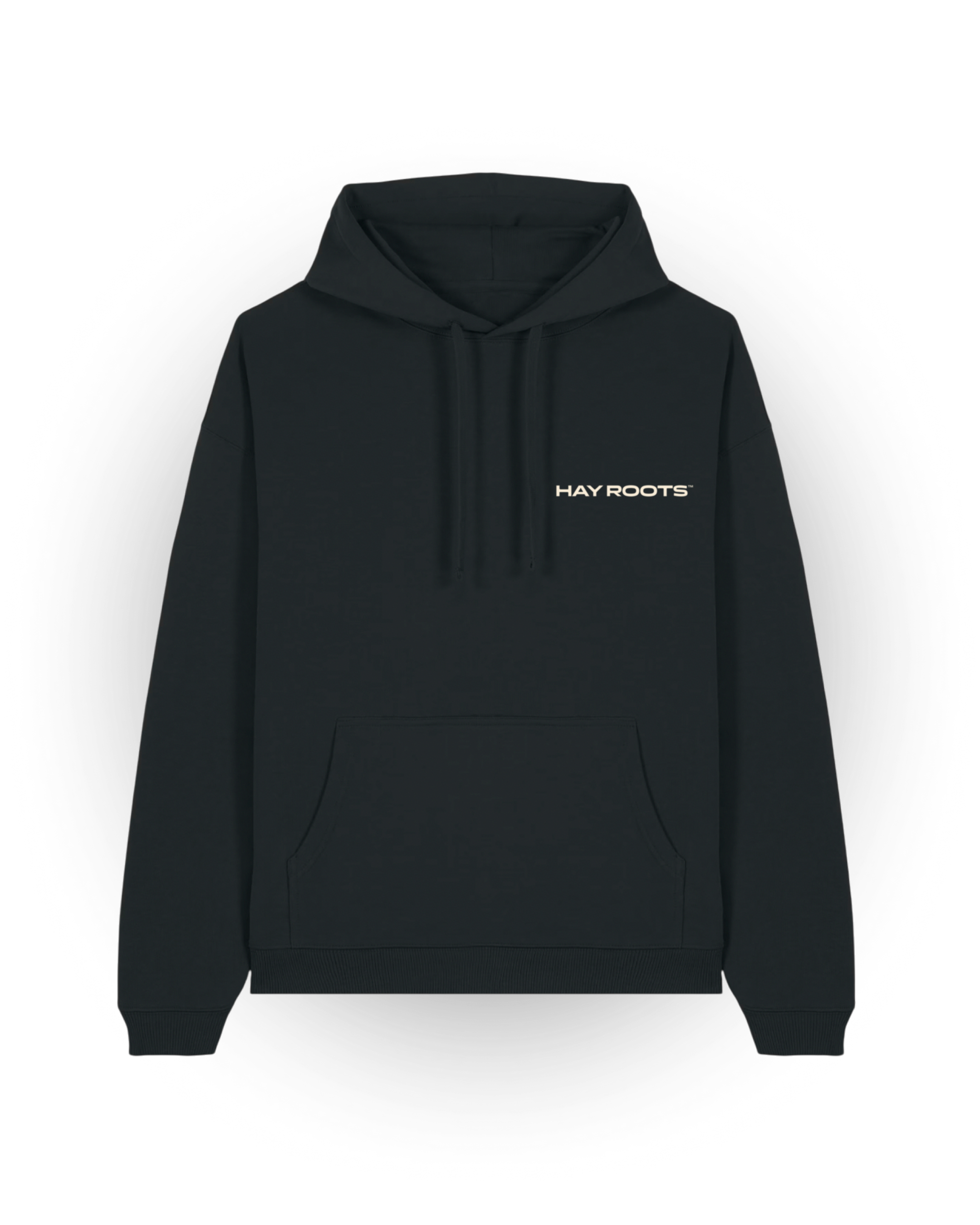 City of Love? Yerevan Hoodie