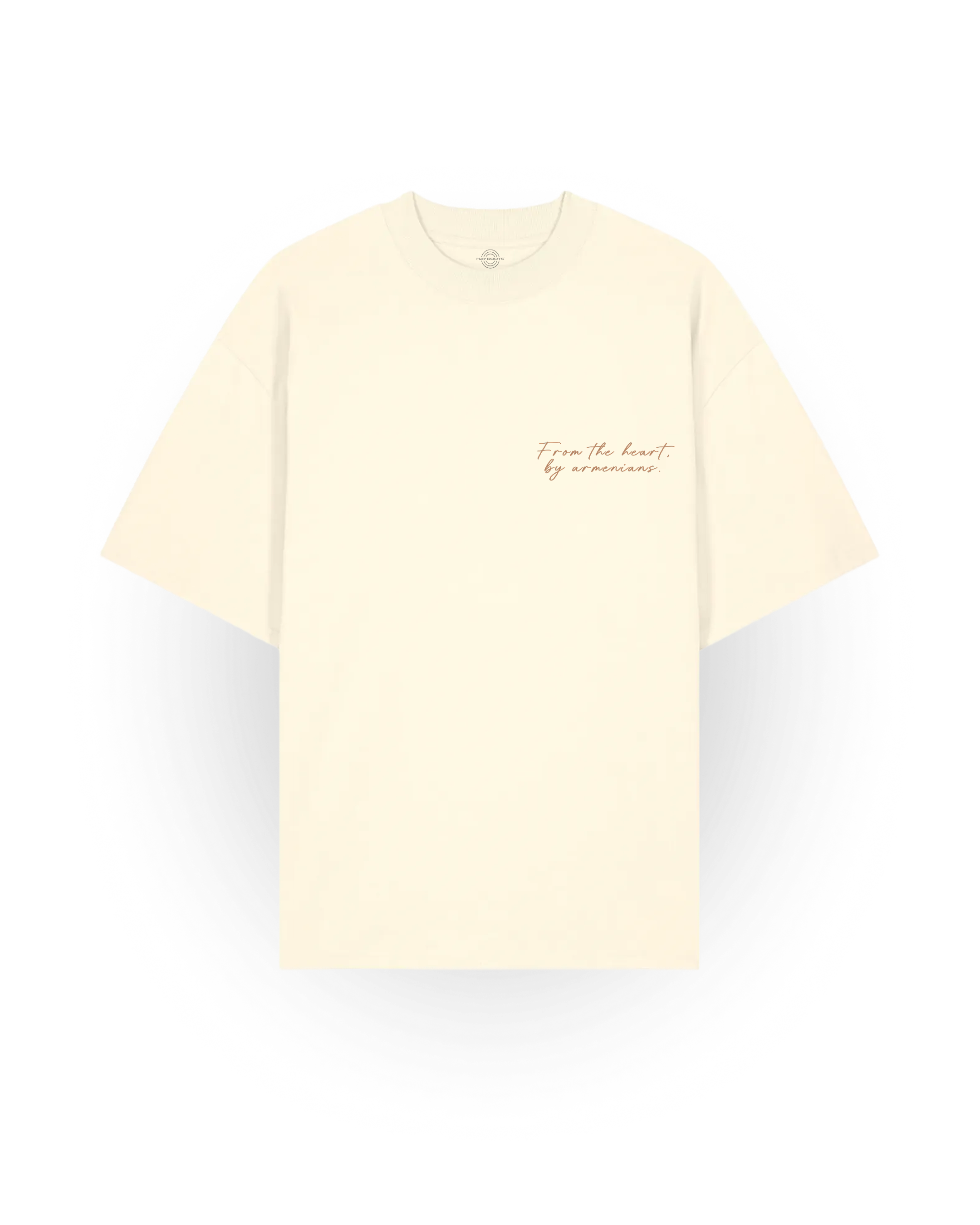 City of Love? Yerevan Oversized T-Shirt