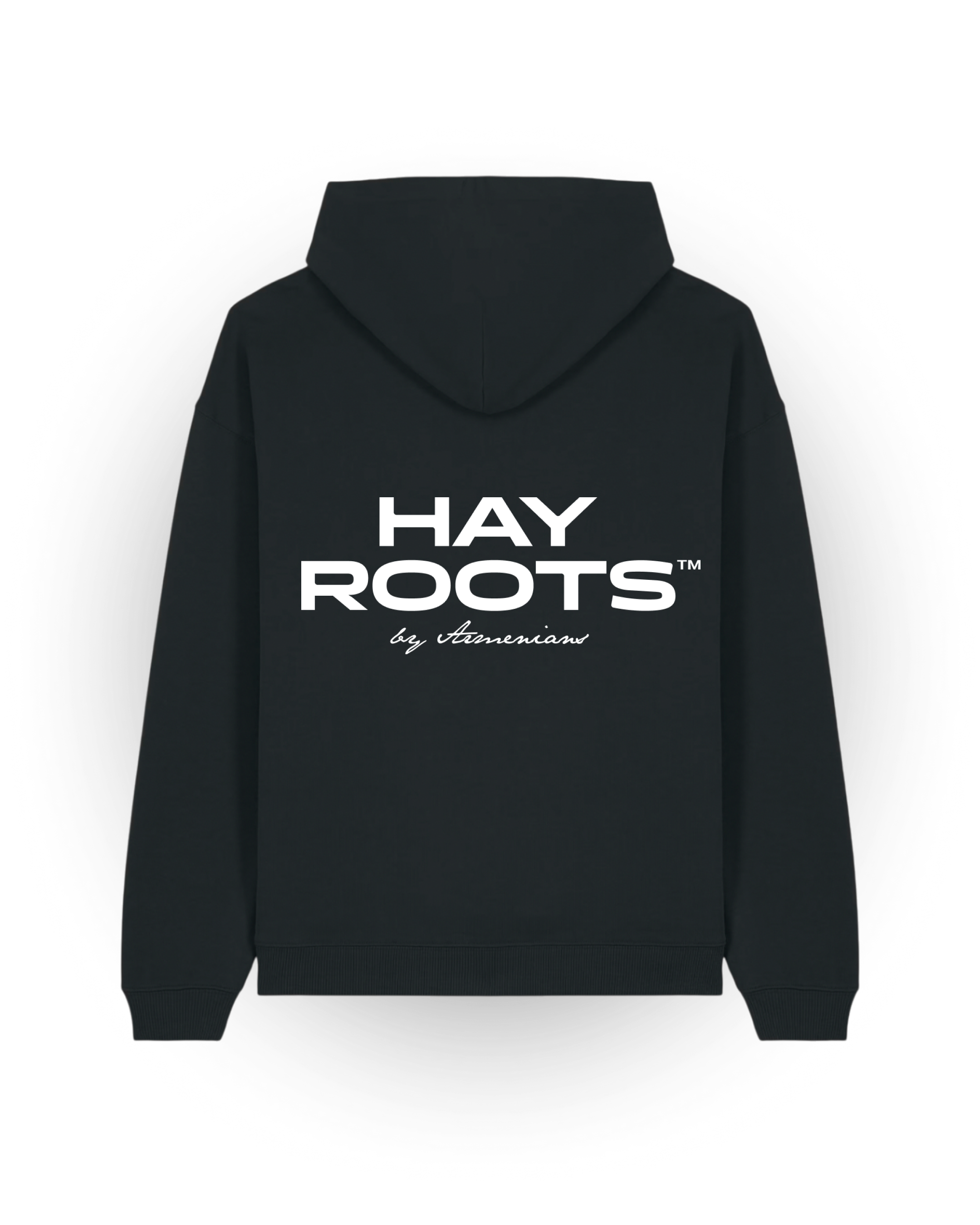 Hay Roots by Armenians Hoodie