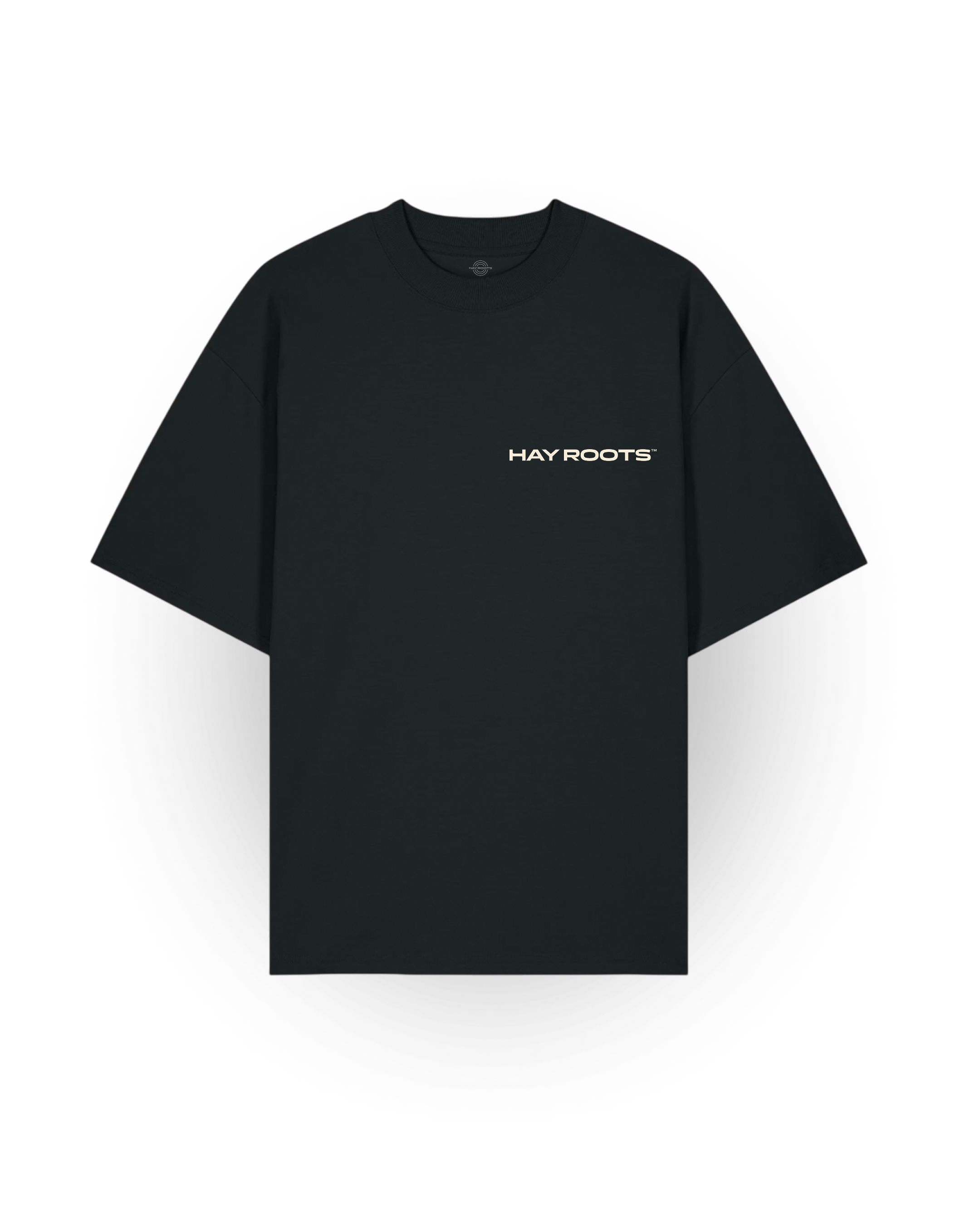 Ara Geghetsik — Legends of Armenia Oversized T-Shirt