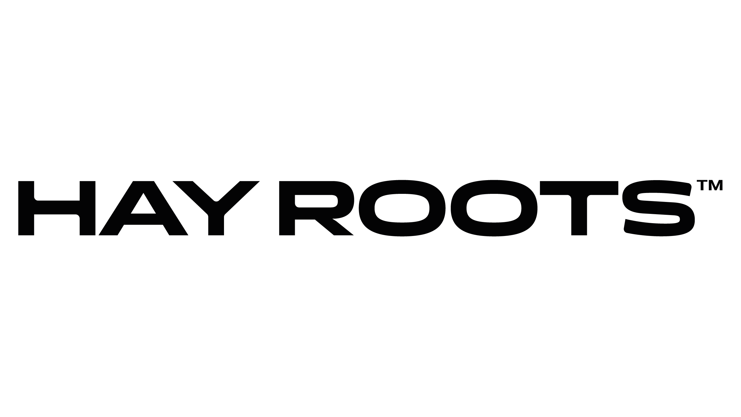 Hay Roots by Armenians